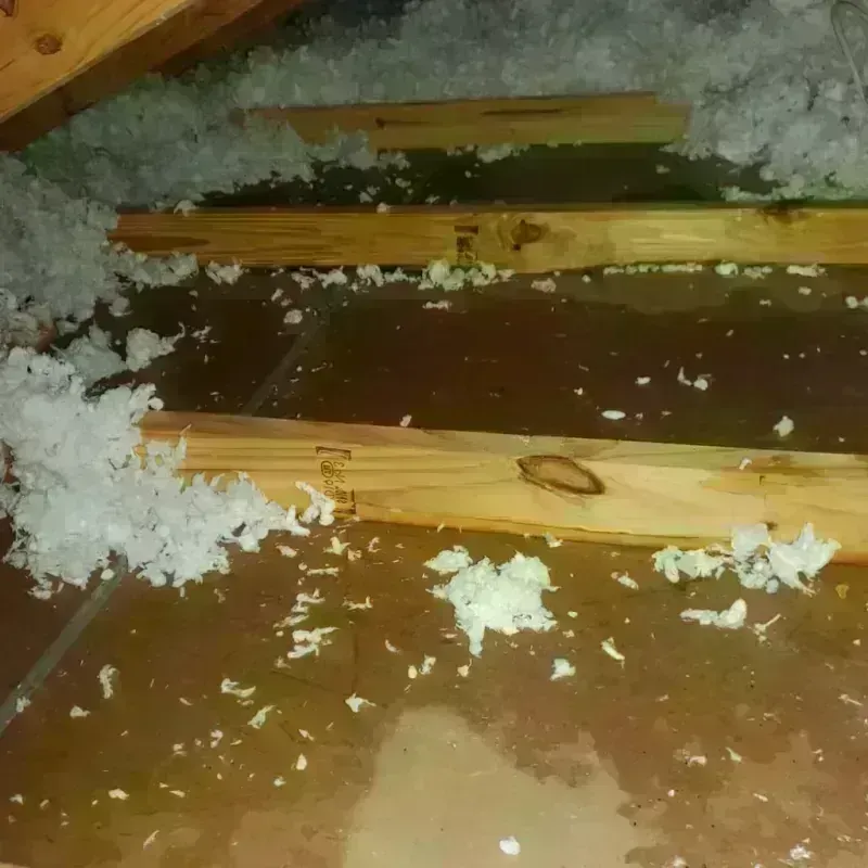 Attic Water Damage in Washington, WV