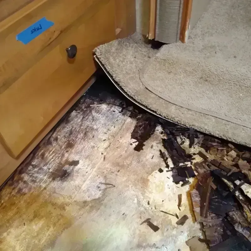 Best Wood Floor Water Damage Service in Washington, WV